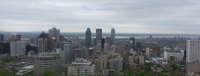 Parc du Mont-Royal is one of montreal vacation.