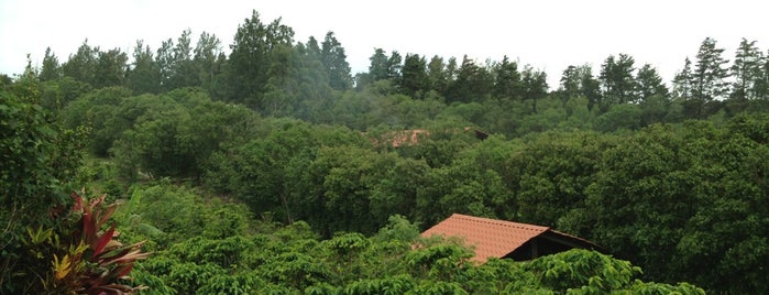 Don Juan Coffee Tour is one of Costa Rica.