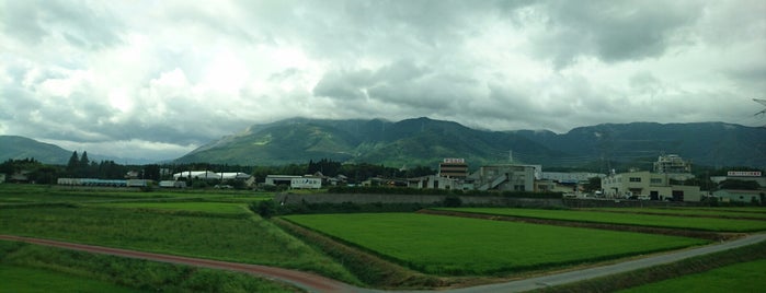 Mt. Ibuki is one of 日本の🗻ちゃん(⌒▽⌒).
