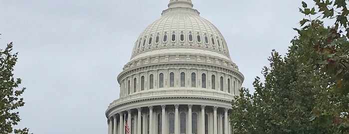 U.S. Capitol Rotunda Steps is one of Tempat yang Disukai Carlos.