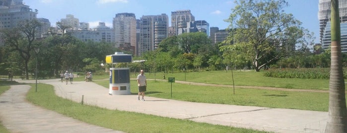 Parque do Povo (Mário Pimenta Camargo) is one of Praças algo ‘dog friendly’ em sampa.