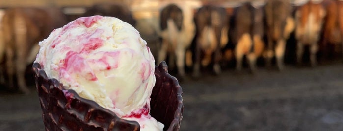 Our Cow Molly Dairy Ice Cream is one of Farmshops - Yorkshire.