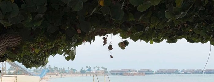 Banana Island Resort Doha by Anantara is one of DOH.