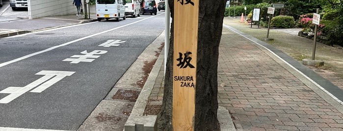 桜坂 is one of Saka.