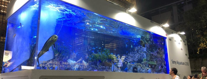 Sony Aquarium is one of Japan-日本-ประเทศญี่ปุ่น.