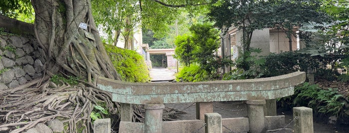 黒神神社 埋没鳥居 is one of 観光.