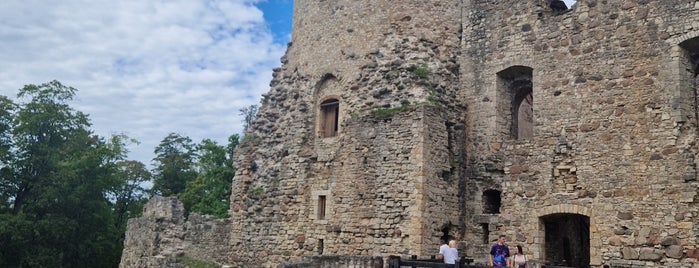 Cēsis Castle and Manor Complex is one of Эстония.