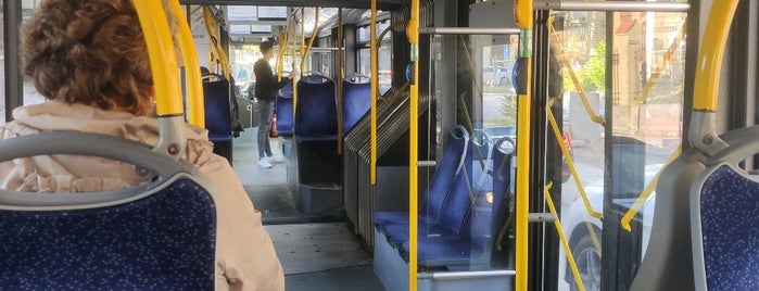 25. Trolejbuss | Brīvības iela - Iļģuciems is one of transports.