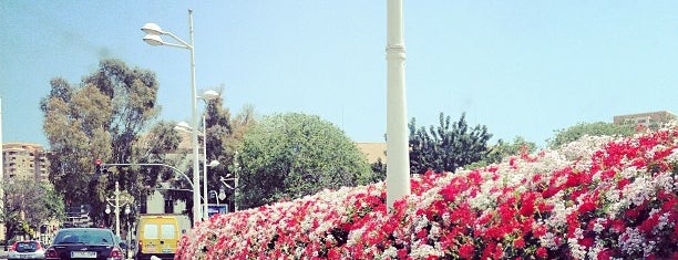 Puente de las Flores is one of Comunidad Valenciana.