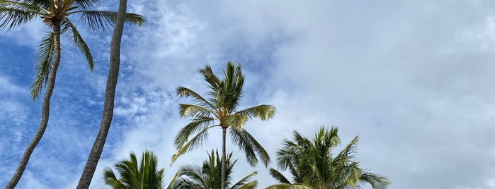 Kahala Beach is one of Favorite Local Kine Hawaii.