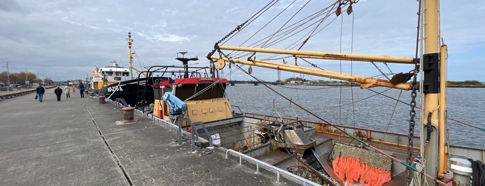 Wexford Habour is one of Irlande.