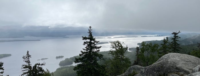 Koli National Park is one of Places to visit in Finland.