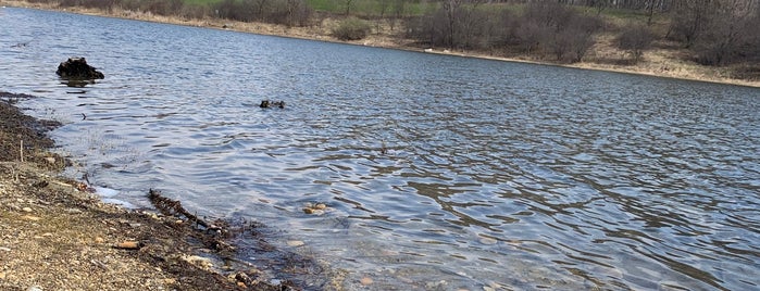 Blackwell Forest Preserve is one of Sledding.