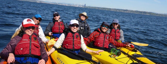 Ballard Kayak is one of Seattle activities.