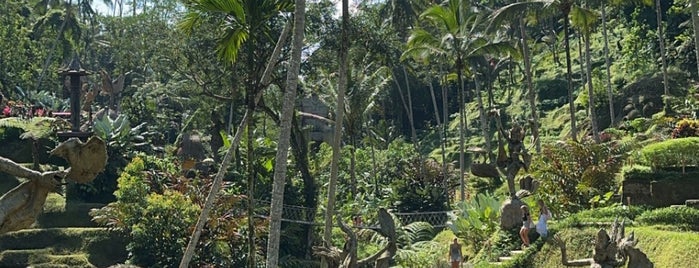 Alas Harum Agroo Coffee Plantation is one of Bali Trip.
