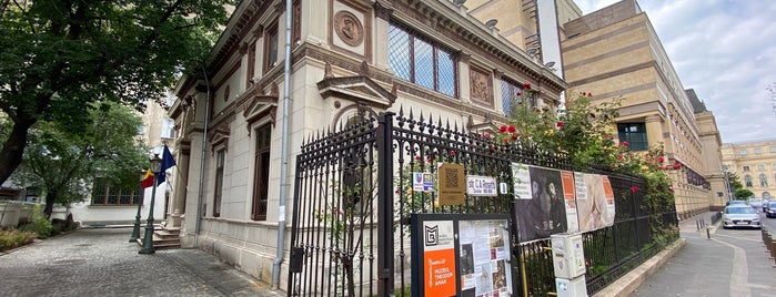 Muzeul "Theodor Aman" is one of Bucharest.