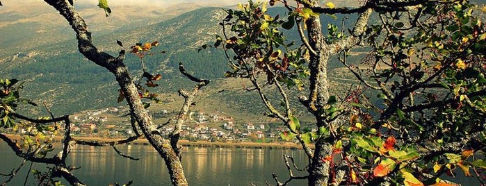 Ioannina Lake is one of Epirus.