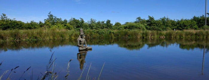 Indian Sculpture Park is one of Temo: сохраненные места.