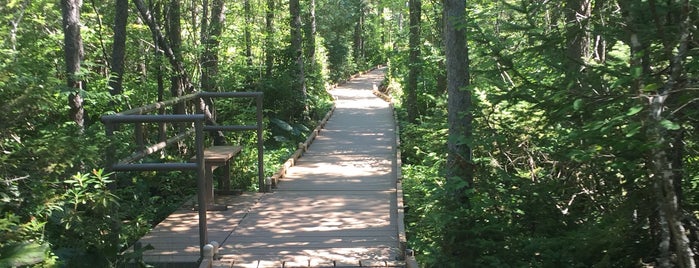Orono Bog Boardwalk is one of Jeiranさんのお気に入りスポット.