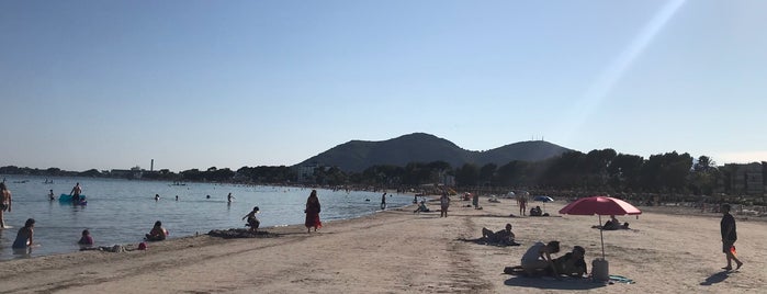 Alcudia Beach is one of Alex’s Liked Places.