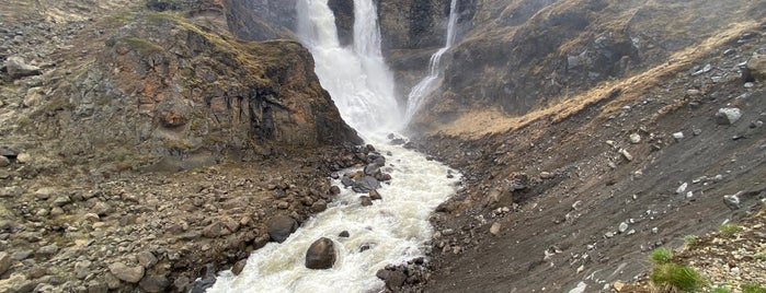 Rjukandi is one of Borgarfjordur.