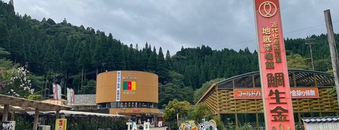 Michi no Eki Taio Kinzan is one of 日本の観光鉱山・鉱山資料館・史跡.