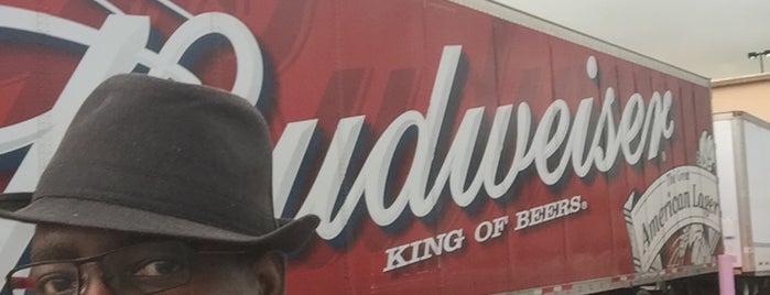 Daytona Beverages - Budweiser is one of Guide to Ormond Beach's best spots.