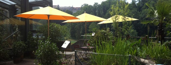 Café Fleuri is one of Bern's Best Brunches.