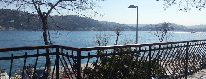 Müze Cafe is one of İstanbul.