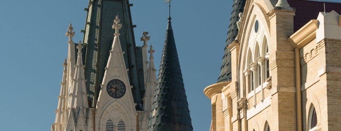 Our Lady of the Lake Univ-Harry Jersig is one of Colleges.