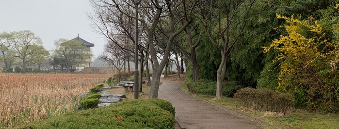 Jeonju Deokjin Park is one of 2019.04.14 전주 여행.