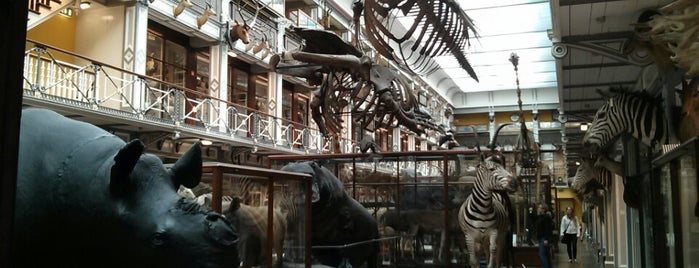 The National Museum of Ireland - Natural History is one of Dublin 2012.