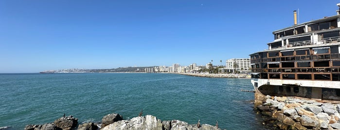 Viña del Mar is one of สถานที่ที่ Cristián ถูกใจ.