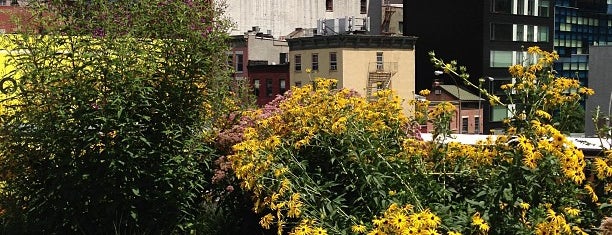 High Line is one of NYC.