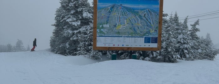 Okemo Mountain Resort is one of East Coast Skiing.