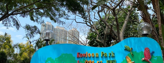 Kowloon Tsai Park is one of Airports & Hotels.