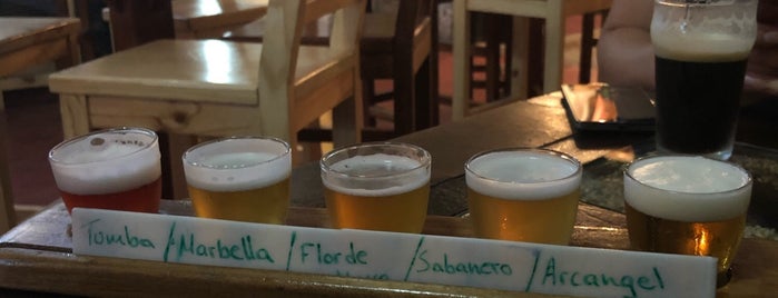 Wilk Craft Beer & Grub is one of San Jose / Costa Rica.