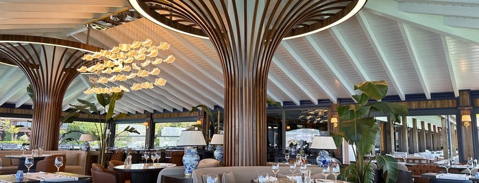 Sasa Hotel & Restaurants is one of Turkey.