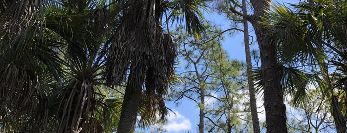 Hog Hammock Trail is one of Florida.