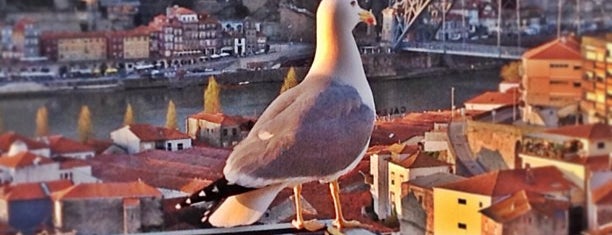 The Yeatman is one of Porto.