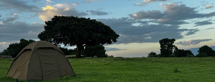 Ngorongoro Conservation Area is one of Tanzania.