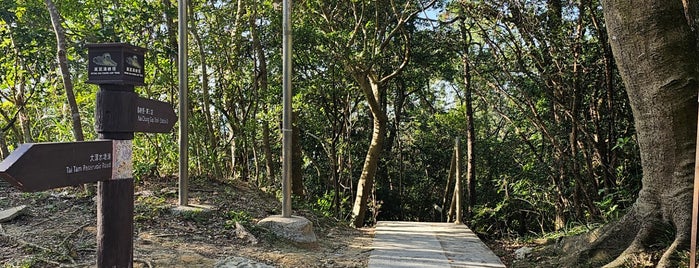 Wong Nai Chung Gap Trail is one of Hong Kong Heritage.