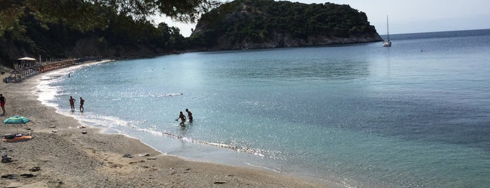 Stafylos Beach is one of Early Dives.