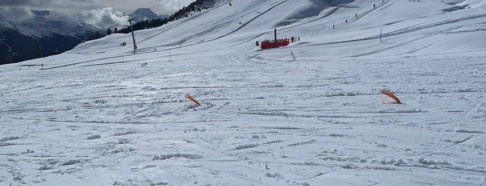 Schweizer Skischule Salastrains is one of St. Moritz.