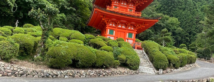 長福寺 is one of 三重塔 / Three-storied Pagoda in Japan.
