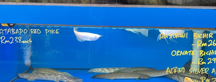 Xian Long Aquarium is one of jalan-jalan best.