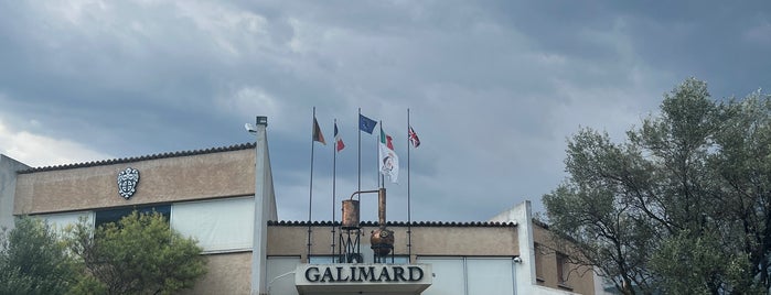 Usine et Musée GALIMARD is one of grasse + côte d'azur.