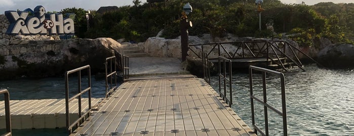 Puente Al Paraíso is one of Pasaporte Xcaret.