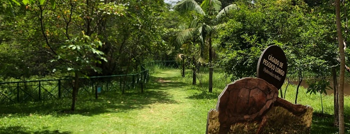 Parque Chico Mendes is one of Sorocaba.