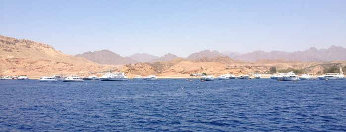 Port Sharm El Sheikh is one of Sharm Elsheikh.